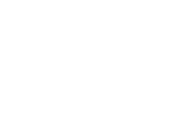 Maskborne